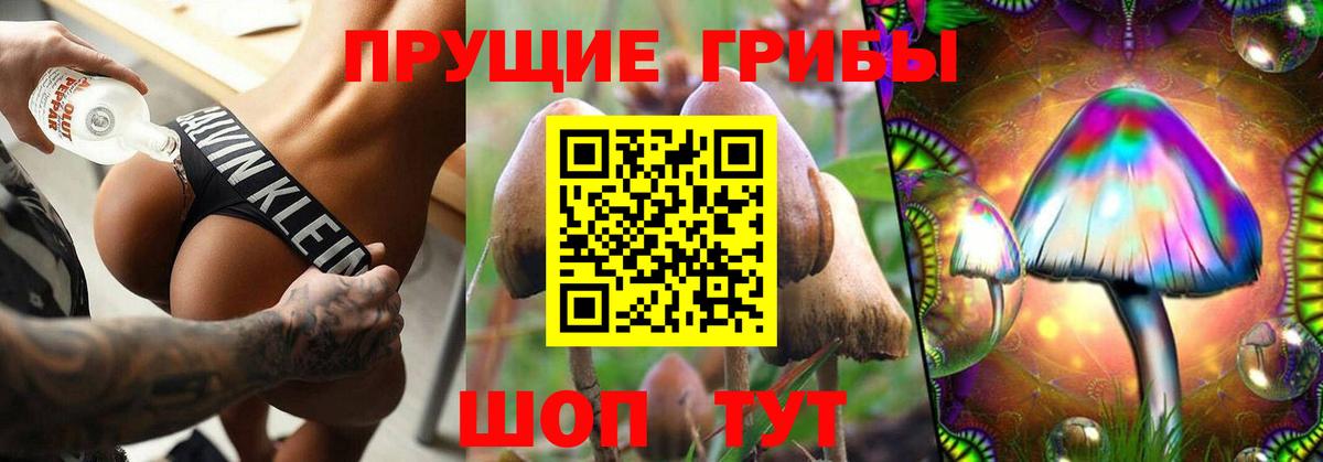 Галлюциногенные грибы GOLDEN TEACHER Кимры